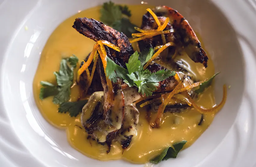 senior dining san antonio