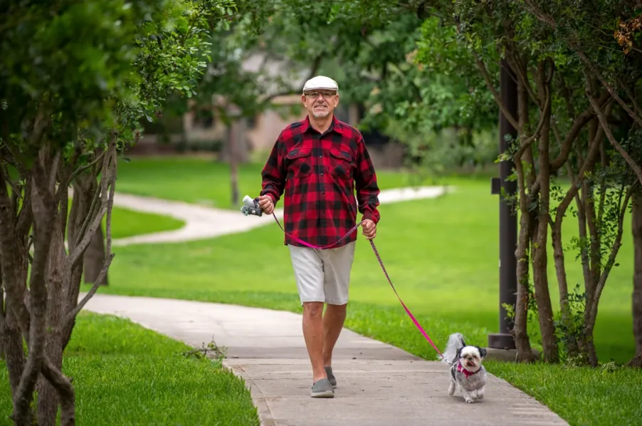 older man walking dog on a tree-lined sidewalk